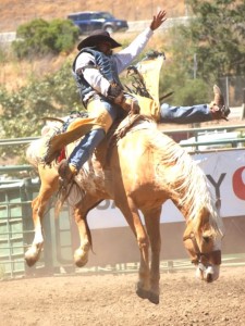 Bronco Riding